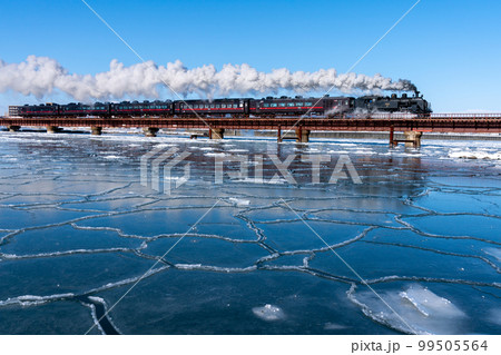 白煙をあげながら蓮葉のある釧路川鉄橋を走るSL冬の湿原号 99505564