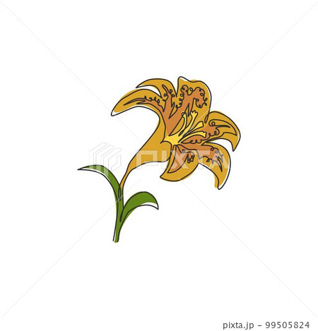 Single continuous line drawing of beauty fresh tiger lily for home decor wall art poster print. Printable decorative lilium flower for wedding invitation card. One line draw design vector illustration 99505824