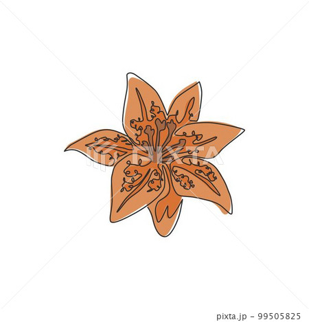 One continuous line drawing of beauty fresh lilium for wall art home decor poster print. Printable decorative tiger lily flower for greeting card ornament. Single line draw design vector illustration One continuous line drawing of beauty fresh lilium for wall art home decor poster print. Printable decorative tiger lily flower for greeting card ornament. Single line draw design vector illustration 99505825