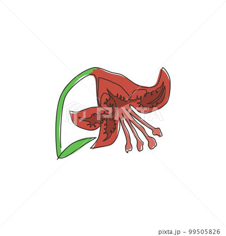 Single one line drawing of beauty fresh lilium for garden logo. Printable decorative tiger lily flower for wall art home decor poster print. Modern continuous line draw design vector illustration 99505826