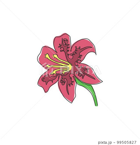 Single continuous line drawing beauty lilium lancifolium for home decor wall art poster print. Printable decorative tiger lily flower for green park. Modern one line draw design vector illustration Single continuous line drawing beauty lilium lancifolium for home decor wall art poster print. Printable decorative tiger lily flower for green park. Modern one line draw design vector illustration 99505827