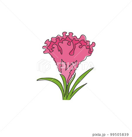 Single continuous line drawing beauty brain celosia for home wall art decor poster print. Printable decorative cockscomb flower for wedding invitation card. One line draw design vector illustration Single continuous line drawing beauty brain celosia for home wall art decor poster print. Printable decorative cockscomb flower for wedding invitation card. One line draw design vector illustration 99505839