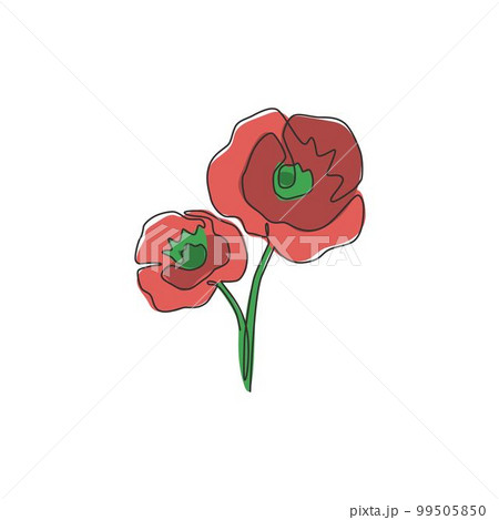 poppy garden wall art