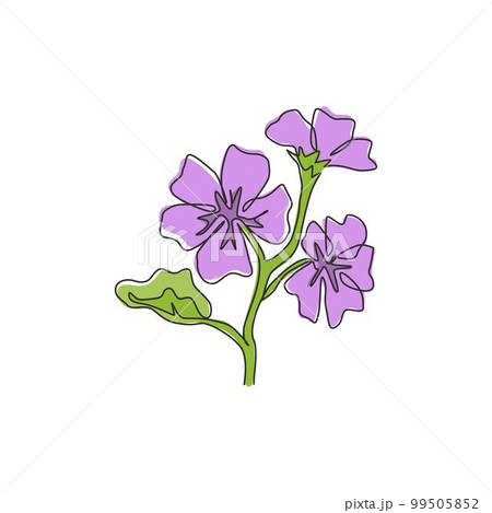 Single continuous line drawing beauty fresh purple mallow for home decor wall art poster. decorative malvasylvestris flower concept for greeting card ornament. One line draw design vector illustration Single continuous line drawing beauty fresh purple mallow for home decor wall art poster. decorative malvasylvestris flower concept for greeting card ornament. One line draw design vector illustration 99505852
