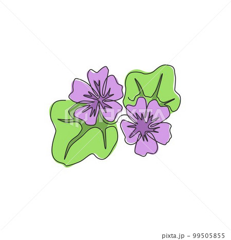 One continuous line drawing beauty fresh purple mallow for home decor poster wall art. Decorative malva sylvestris flower for wedding invitation card. Modern singleline draw design vector illustration 99505855