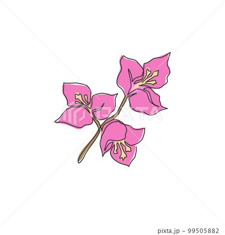 One single line drawing of beauty fresh bougainville for wall home decor poster. Printable decorative flower concept for greeting card ornament. Modern continuous line draw design vector illustration One single line drawing of beauty fresh bougainville for wall home decor poster. Printable decorative flower concept for greeting card ornament. Modern continuous line draw design vector illustration 99505882
