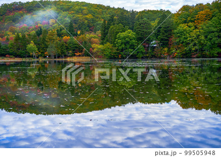 観音沼森林公園　秋の風景 99505948