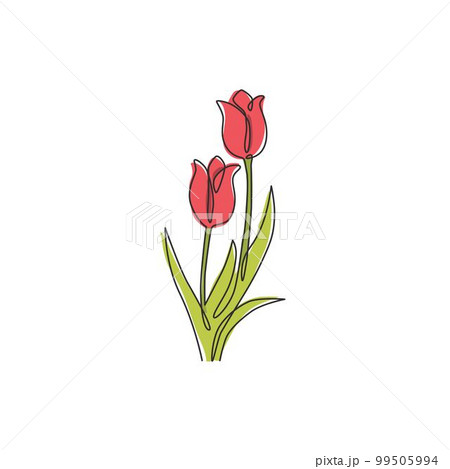One continuous line drawing of beauty fresh tulip for logo. Printable poster decorative Netherlands nationality flower concept wall home decor art. Modern single line draw design vector illustration One continuous line drawing of beauty fresh tulip for logo. Printable poster decorative Netherlands nationality flower concept wall home decor art. Modern single line draw design vector illustration 99505994