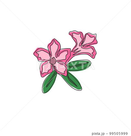 One continuous line drawing of fresh beauty adenium for garden logo. Printable poster decorative desert rose flowers concept home wall decor. Modern single line draw design graphic vector illustration 99505999