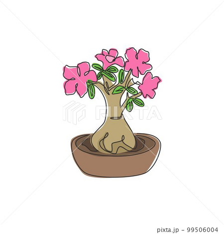 Single continuous line drawing fresh beauty potted adenium for garden logo. Printable poster decorative desert rose flower concept park home wall decor. Modern one line draw design vector illustration Single continuous line drawing fresh beauty potted adenium for garden logo. Printable poster decorative desert rose flower concept park home wall decor. Modern one line draw design vector illustration 99506004