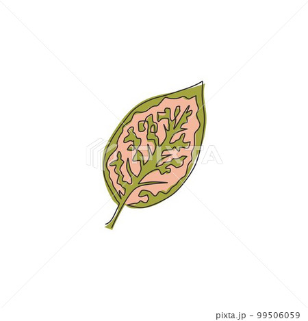One continuous line drawing cute tropical leaf aglaonema plant. Printable decorative exotic houseplant concept for home wall decor ornament. Modern single line draw graphic design vector illustration One continuous line drawing cute tropical leaf aglaonema plant. Printable decorative exotic houseplant concept for home wall decor ornament. Modern single line draw graphic design vector illustration 99506059