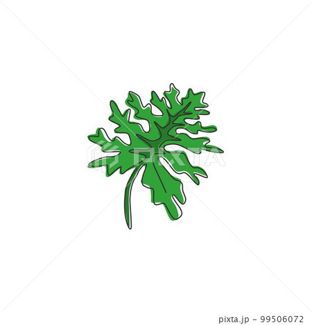 Single continuous line drawing tropical leaf plant. Printable decorative philodendron selloum houseplant concept for home wall decor ornament. Modern one line draw graphic design vector illustration Single continuous line drawing tropical leaf plant. Printable decorative philodendron selloum houseplant concept for home wall decor ornament. Modern one line draw graphic design vector illustration 99506072