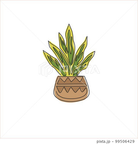 How to Draw a House Plant Easy (snake plant) - YouTube