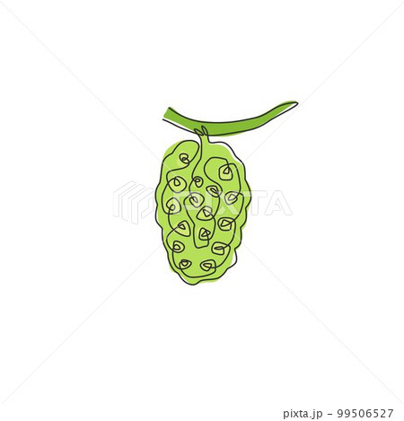Single continuous line drawing whole healthy organic tropical noni for orchard logo identity. Fresh fruit bearing tree concept for garden icon. Modern one line draw design vector graphic illustration Single continuous line drawing whole healthy organic tropical noni for orchard logo identity. Fresh fruit bearing tree concept for garden icon. Modern one line draw design vector graphic illustration 99506527