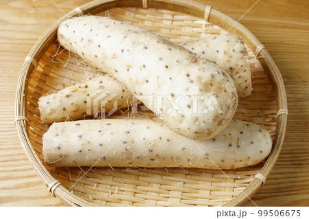 山芋　食材 99506675
