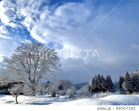 雪の朝 雪の朝 99507385