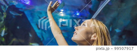 Young woman touches a stingray fish in an oceanarium tunnel BANNER, LONG FORMAT Young woman touches a stingray fish in an oceanarium tunnel BANNER, LONG FORMAT 99507917