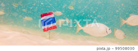 Beautiful tropical fish on the white sand beach. with the flag of Thailand. Travel to Thailand concept BANNER, LONG FORMAT Beautiful tropical fish on the white sand beach. with the flag of Thailand. Travel to Thailand concept BANNER, LONG FORMAT 99508030
