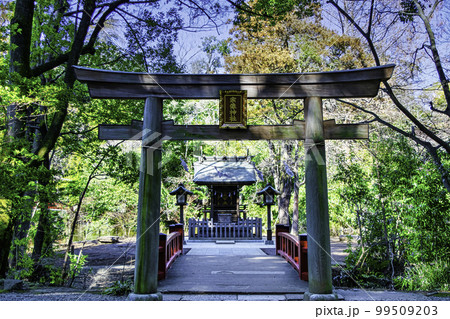 埼玉県・さいたま市　武蔵一宮氷川神社　宗像神社（むなかたじんじゃ） 99509203