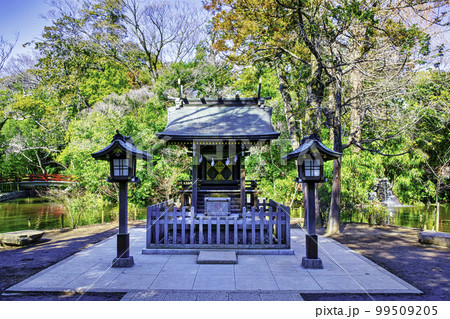埼玉県・さいたま市　武蔵一宮氷川神社　宗像神社（むなかたじんじゃ） 99509205
