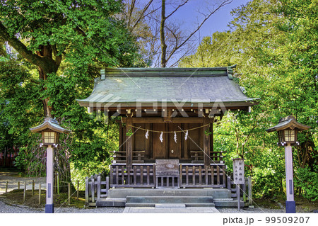 埼玉県・さいたま市　武蔵一宮氷川神社　松尾神社 99509207