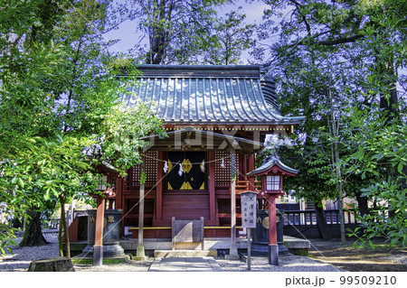 埼玉県・さいたま市 武蔵一宮氷川神社 天津神社 埼玉県・さいたま市 武蔵一宮氷川神社 天津神社 99509210