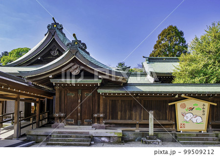 埼玉県・さいたま市　武蔵一宮氷川神社　本殿 99509212