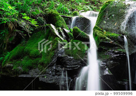 猿壺の滝の上部の近撮1 兵庫県美方郡新温泉町 猿壺の滝の上部の近撮1 兵庫県美方郡新温泉町 99509996