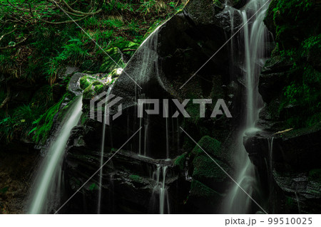 猿壺の滝の上部と差し込む日光1 兵庫県美方郡新温泉町 猿壺の滝の上部と差し込む日光1 兵庫県美方郡新温泉町 99510025