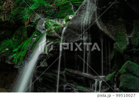 猿壺の滝の上部と差し込む日光2 兵庫県美方郡新温泉町 猿壺の滝の上部と差し込む日光2 兵庫県美方郡新温泉町 99510027