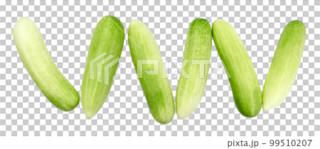 cucumber isolated cucumber isolated 99510207