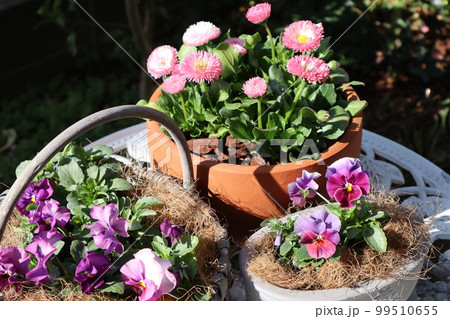 花の寄せ植え＆花の寄せ鉢 99510655