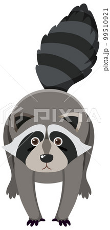 Cute raccoon in flat cartoon style 99510921
