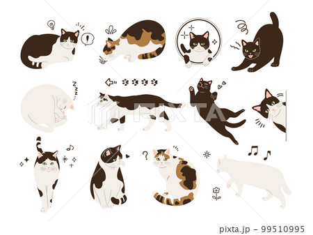 猫のイラストセット 猫のイラストセット 99510995