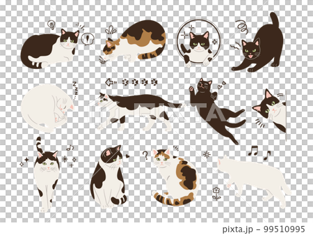 猫のイラストセット 猫のイラストセット 99510995