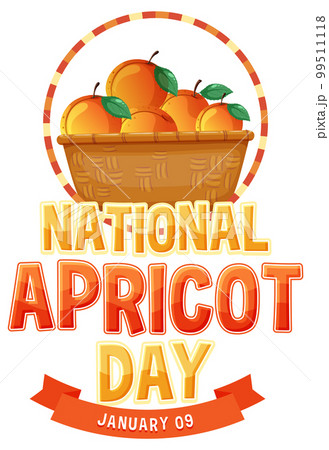 National apricot day icon 99511118