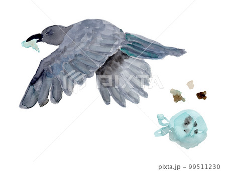 ゴミをくわえるカラスの水彩イラスト ゴミをくわえるカラスの水彩イラスト 99511230