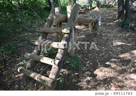 武蔵村山市の野山北・六道山公園の木の階段 99511783