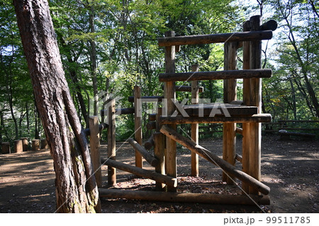 武蔵村山市の野山北・六道山公園の木製の高台 武蔵村山市の野山北・六道山公園の木製の高台 99511785