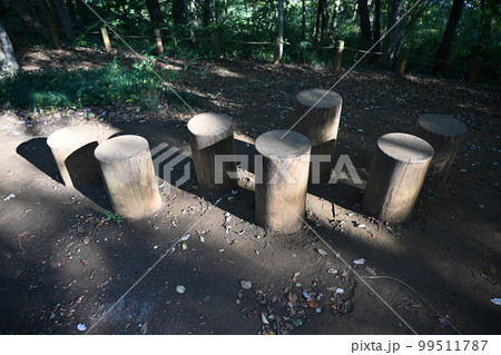 武蔵村山市の野山北・六道山公園の木のステップ 武蔵村山市の野山北・六道山公園の木のステップ 99511787