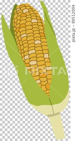 玉米黃 玉米黃 99512004