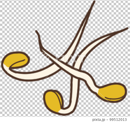 豆芽 豆芽 99512013