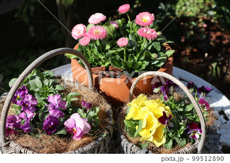 花の寄せ植え&花の寄せ鉢 花の寄せ植え&花の寄せ鉢 99512890