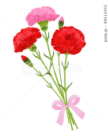 カーネーションの花束 99513455