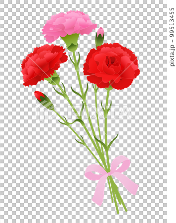 カーネーションの花束 99513455