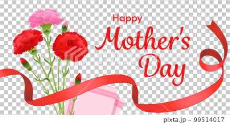 Mother's Day Carnation Bouquet Image Banner (2:1) 99514017