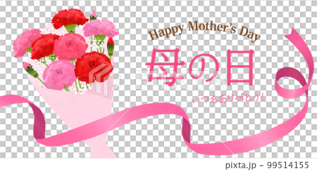 Mother's Day Carnation Bouquet Image Banner (2:1) 99514155