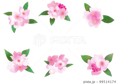 沈丁花カード 沈丁花カード 99514174