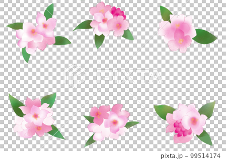 沈丁花カード 沈丁花カード 99514174