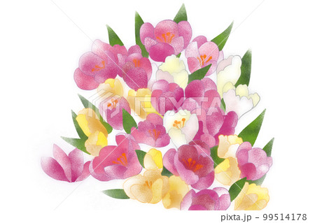 クロッカスの花束 99514178